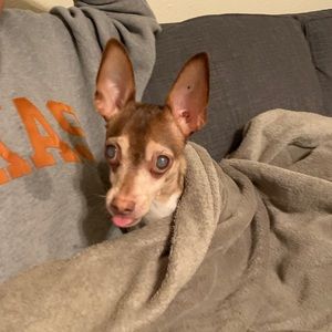 Meet your Posher, Ryan